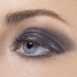 VELVET BUTTERFLY EYESHADOW - LEPO