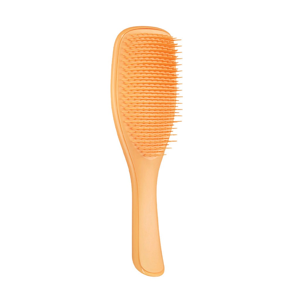 THE WET DETANGLER FINE & FRAGILE - TANGLE TEEZER