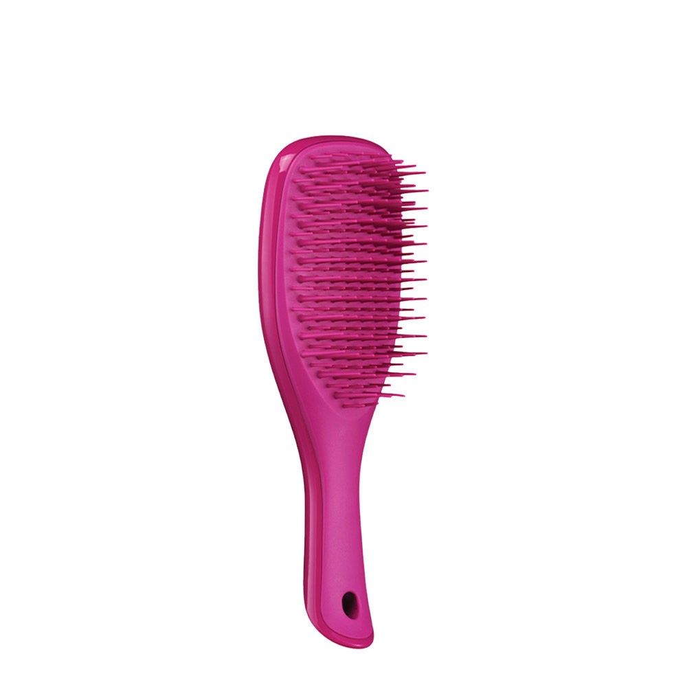 THE WET DETANGLER MINI - TANGLE TEEZER