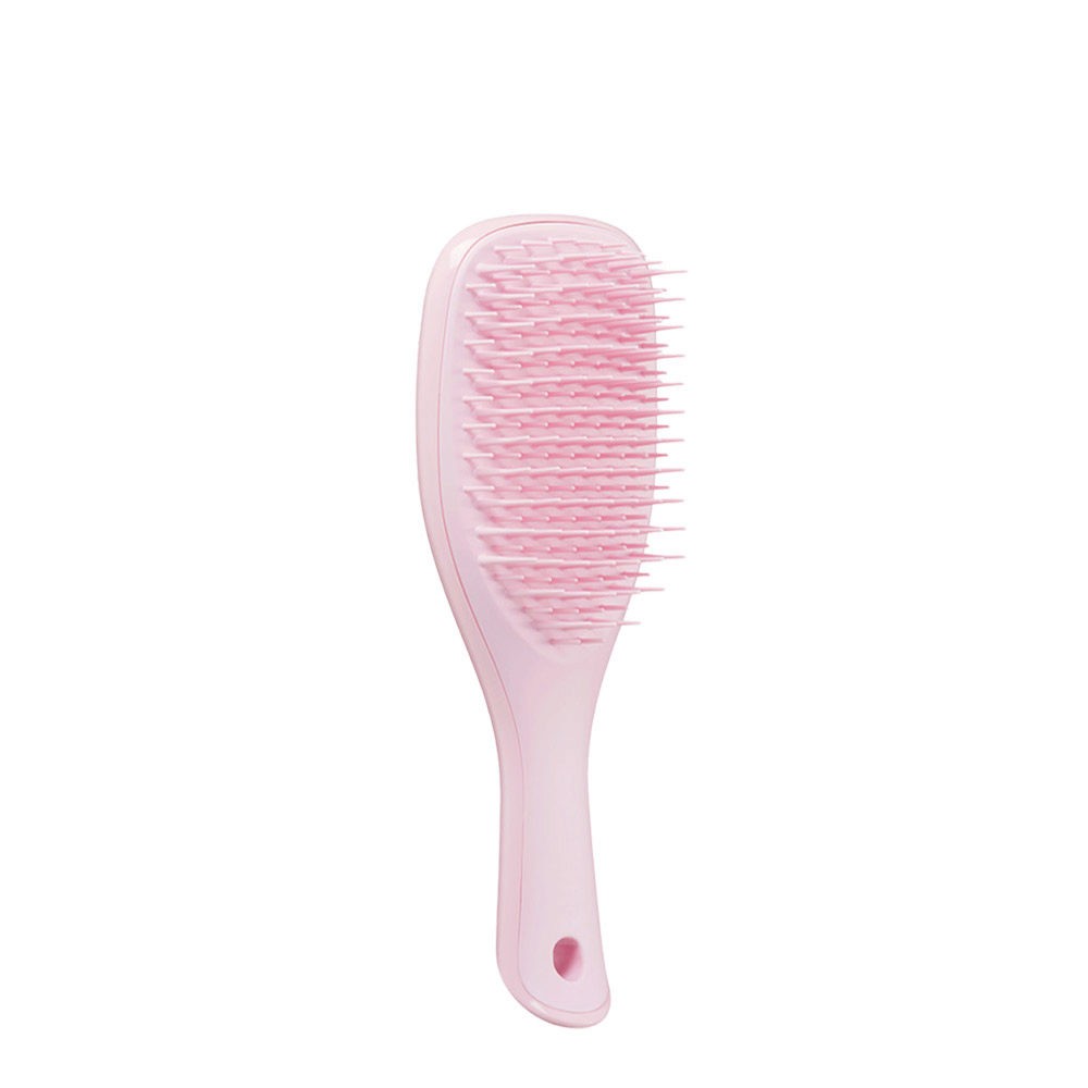 THE WET DETANGLER MINI - TANGLE TEEZER