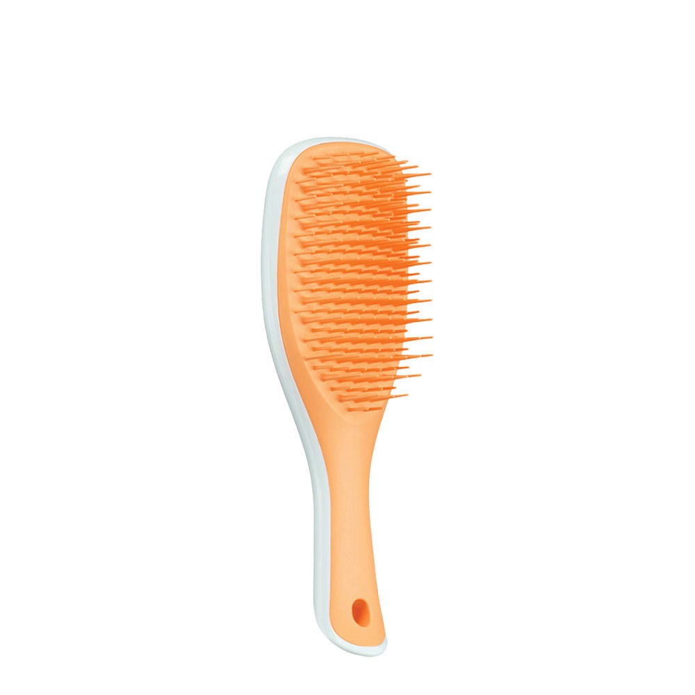 THE WET DETANGLER MINI - TANGLE TEEZER